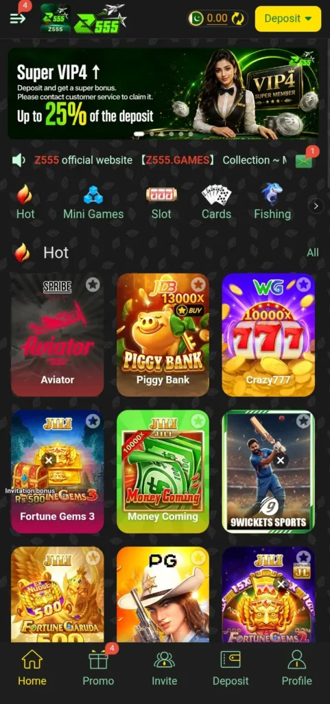 z555-game-interface